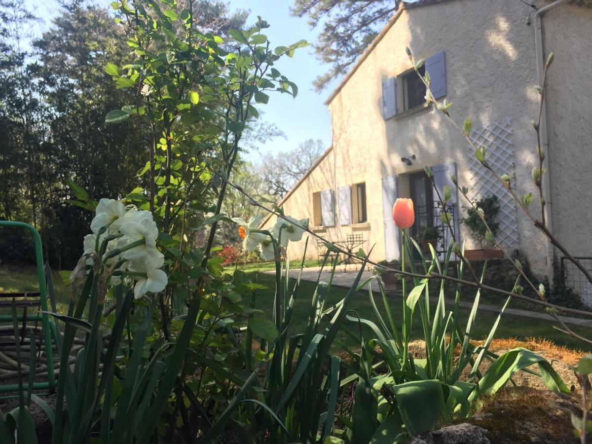 Les Volets Lavande Aubignan Exterior foto